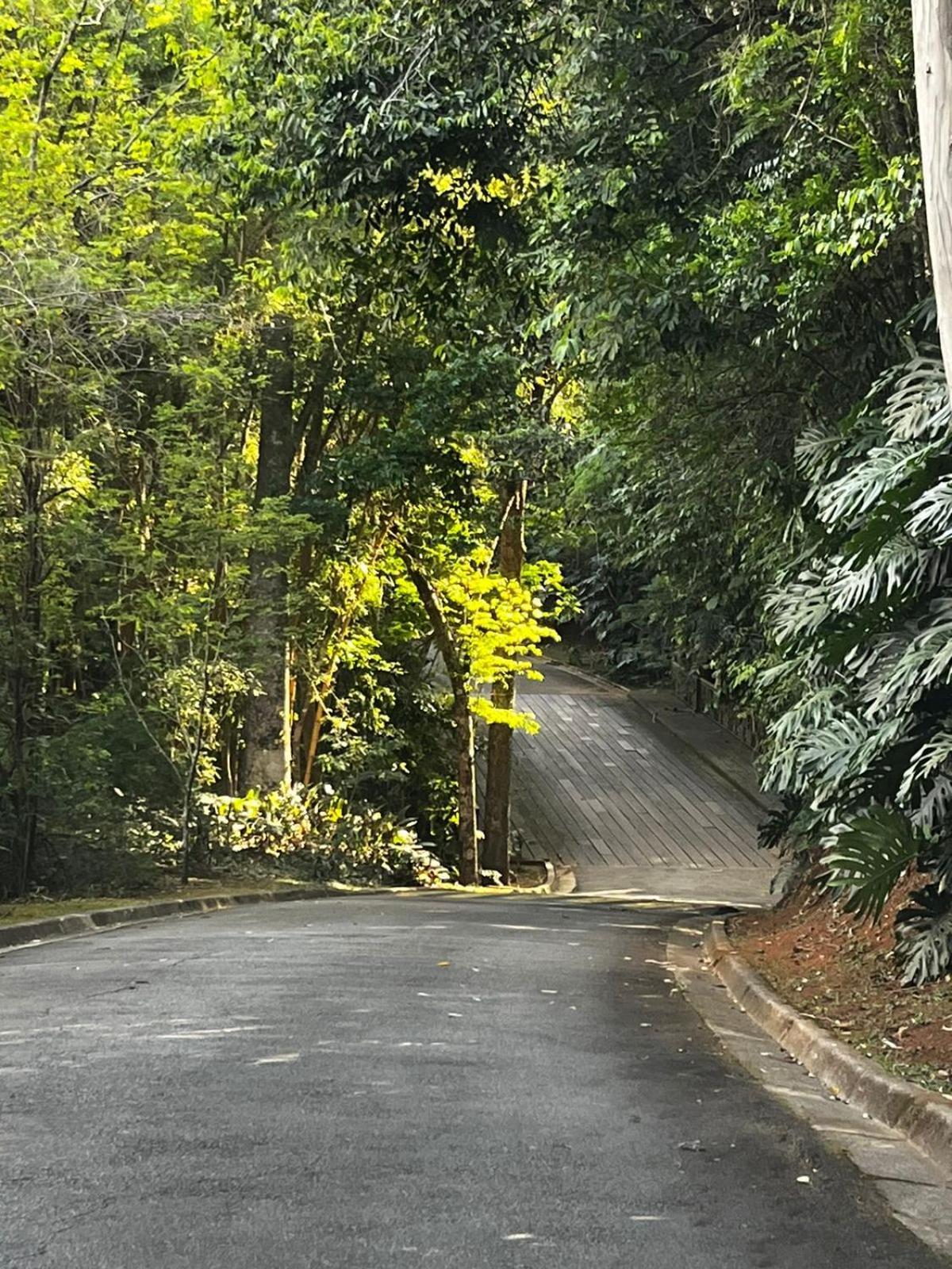 Maravilhoso Studio - Granja Brasil Itaipava Petrópolis Dış mekan fotoğraf